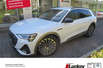 Audi e-tron Gebrauchtwagen