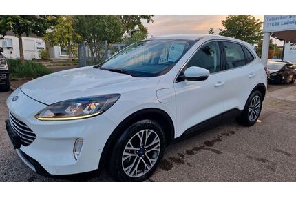 Ford Kuga Gebrauchtwagen