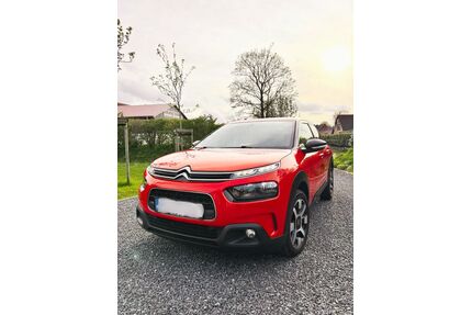 Citroen C4 Cactus Gebrauchtwagen