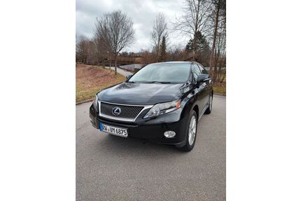 Lexus RX 450 Gebrauchtwagen