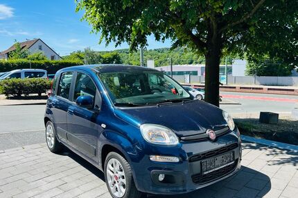 Fiat Panda Gebrauchtwagen