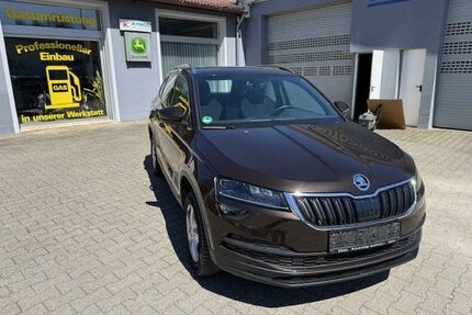 Skoda Karoq Gebrauchtwagen