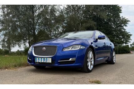 Jaguar XJ Gebrauchtwagen