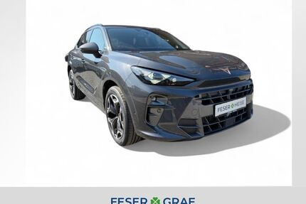 Cupra Terramar Gebrauchtwagen