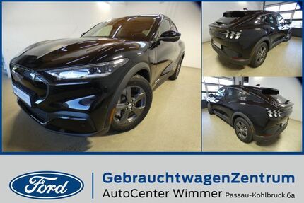 Ford Mustang Mach-E Gebrauchtwagen