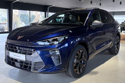 Cupra Terramar Gebrauchtwagen