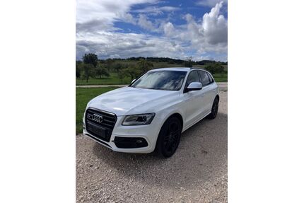 Audi SQ5 Gebrauchtwagen