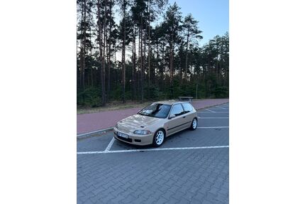 Honda Civic Gebrauchtwagen