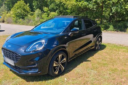 Ford Puma Gebrauchtwagen