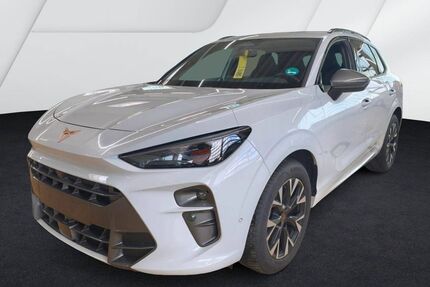 Cupra Terramar Gebrauchtwagen