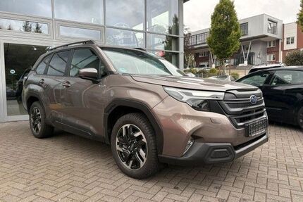 Subaru Forester Gebrauchtwagen