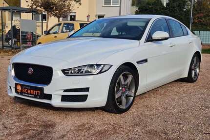 Jaguar XE Gebrauchtwagen
