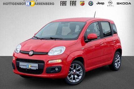 Fiat Panda Gebrauchtwagen