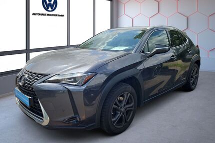 Lexus UX Gebrauchtwagen
