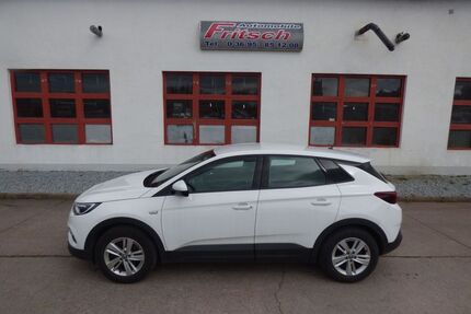 Opel Grandland (X) Gebrauchtwagen