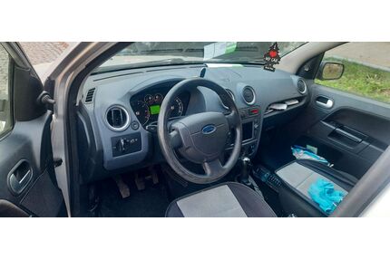 Ford Fusion Gebrauchtwagen