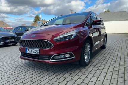 Ford S-Max Gebrauchtwagen