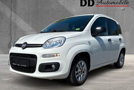 Fiat Panda Gebrauchtwagen