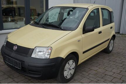 Fiat Panda Gebrauchtwagen