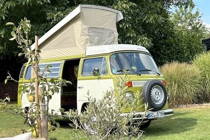 VW T2 Gebrauchtwagen