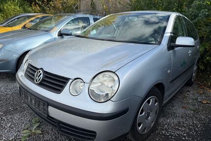 VW Polo Gebrauchtwagen