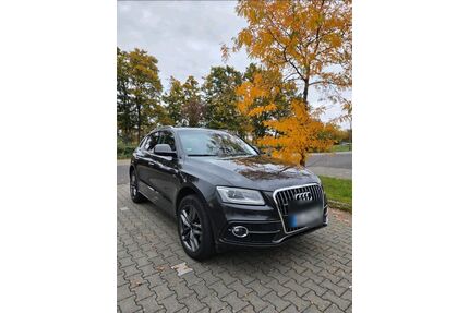 Audi Q5 Gebrauchtwagen