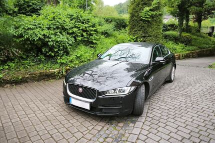 Jaguar XE Gebrauchtwagen