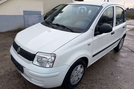 Fiat Panda Gebrauchtwagen