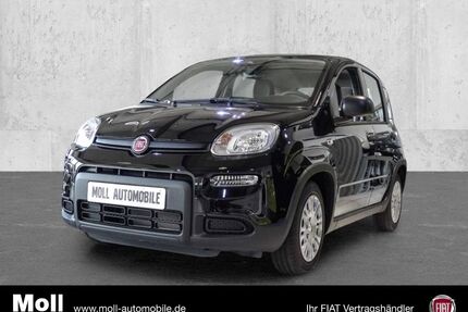 Fiat Panda Gebrauchtwagen