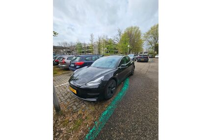 Tesla Model 3 Gebrauchtwagen