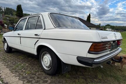 Mercedes-Benz 240 Gebrauchtwagen