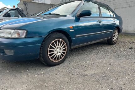Nissan Primera Gebrauchtwagen