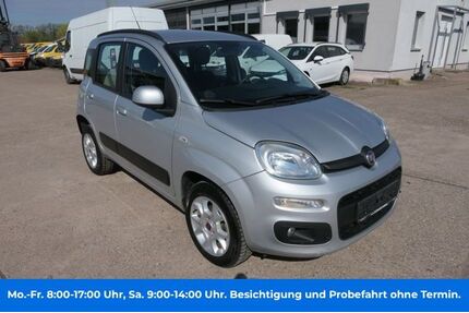 Fiat Panda Gebrauchtwagen