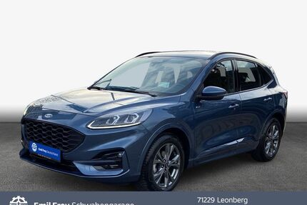 Ford Kuga Gebrauchtwagen
