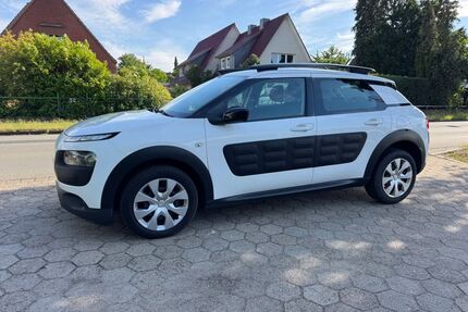 Citroen C4 Cactus Gebrauchtwagen