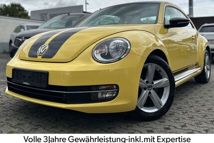 VW Beetle Gebrauchtwagen
