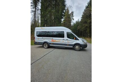 Ford Transit Gebrauchtwagen