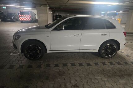 Audi Q5 Gebrauchtwagen