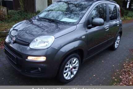 Fiat New Panda Gebrauchtwagen