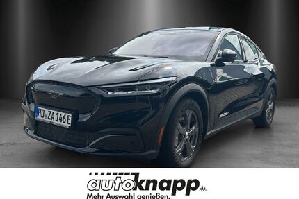 Ford Mustang Mach-E Gebrauchtwagen