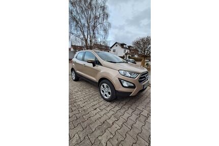Ford EcoSport Gebrauchtwagen