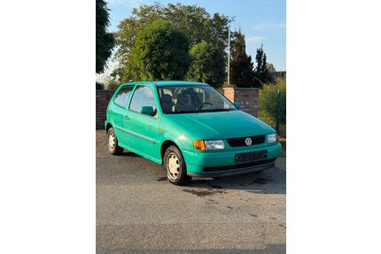 VW Polo Gebrauchtwagen