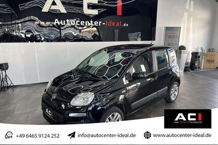 Fiat Panda Gebrauchtwagen