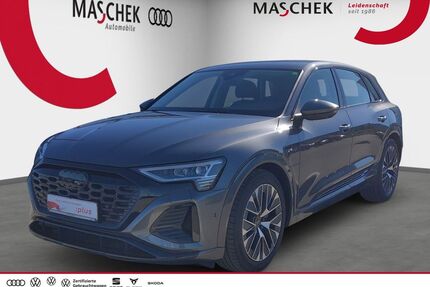 Audi Q8 e-tron Gebrauchtwagen
