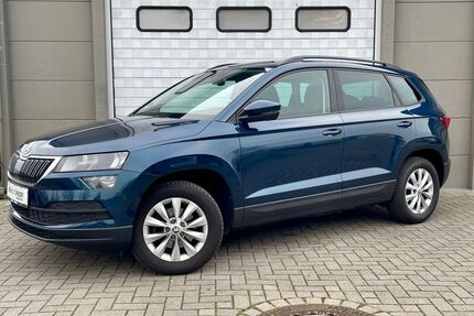 Skoda Karoq Gebrauchtwagen