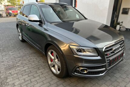 Audi SQ5 Gebrauchtwagen