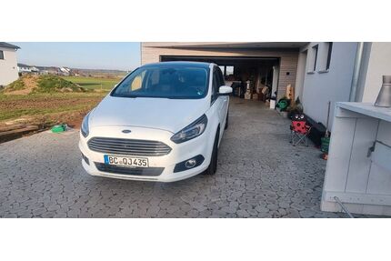 Ford S-Max Gebrauchtwagen