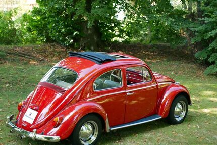 VW Käfer Gebrauchtwagen