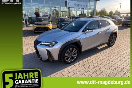 Lexus UX Gebrauchtwagen