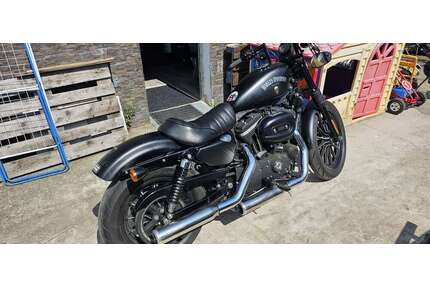 Harley Davidson Iron 883 Gebrauchtwagen